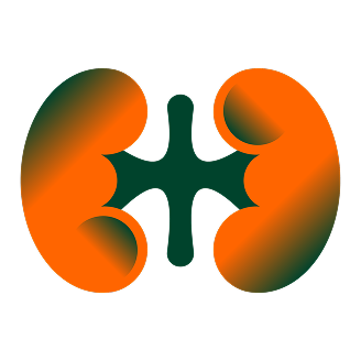 A pair of illustrated kidneys